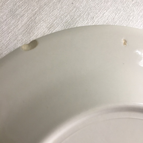 (2) 70’s floral dinner plates <neutral> - Picture 4 of 4